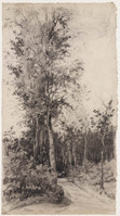 KT 1296
<br/>
Bospad met hoge bomen
<br/>
<em>Bastert, Nicolaas (1854-1939)</em>